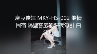 麻豆传媒 MKY-HS-002 催情民宿 隔壁客房的深夜勾引 白沛瑶