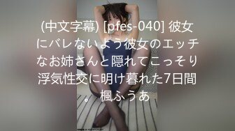 (中文字幕) [pfes-040] 彼女にバレないよう彼女のエッチなお姉さんと隠れてこっそり浮気性交に明け暮れた7日間。 楓ふうあ