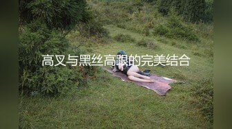 高叉与黑丝高跟的完美结合