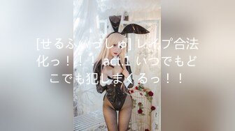 [せるふぃっしゅ] レイプ合法化っ！！！ act.1 いつでもどこでも犯しまくるっ！！