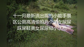 十一月最新流出厕拍小能手景区公厕高清偷拍几个美女尿尿踩屎鞋美女尿尿似小水枪