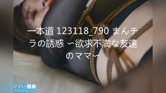 一本道 123118_790 まんチラの誘惑 〜欲求不満な友達のママ〜