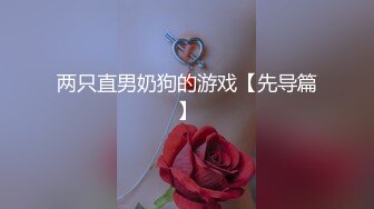 两只直男奶狗的游戏【先导篇】