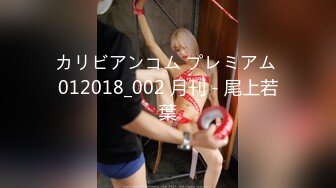 カリビアンコム プレミアム 012018_002 月刊 - 尾上若葉