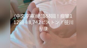 (中文字幕)絶頂88回！痙攣112回！8,742ピストン！笹川りほ